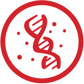 icon of a DNA strand