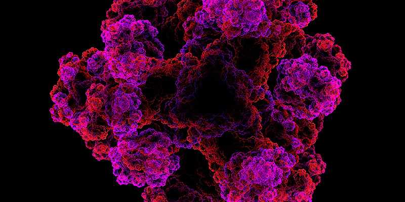 Gut Health & Food Sensitivities Test graphic of Zonulin, a key marker detected by the 10X Health Gut Health Test